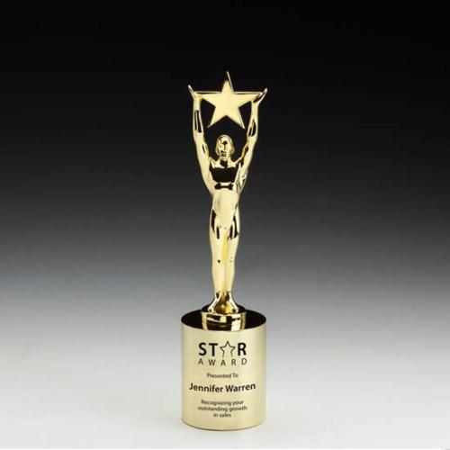 Corporate Awards - Star Achievement Star on Cylinder Metal Award
