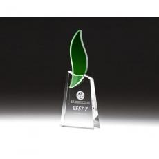 Employee Gifts - Optical Crystal Green Flame Award on Clear Base