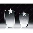 Metal & Optical Crystal Absolute Star Award